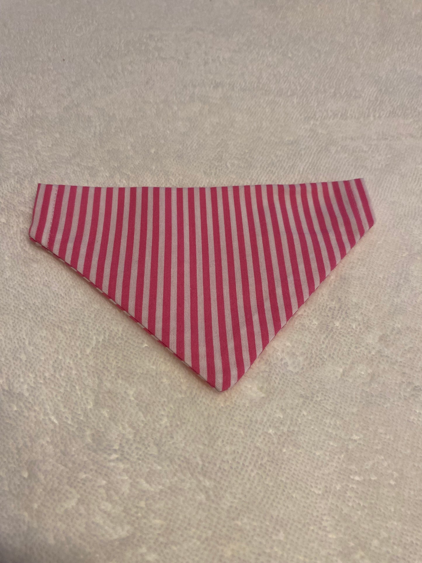 Bandana chien xs